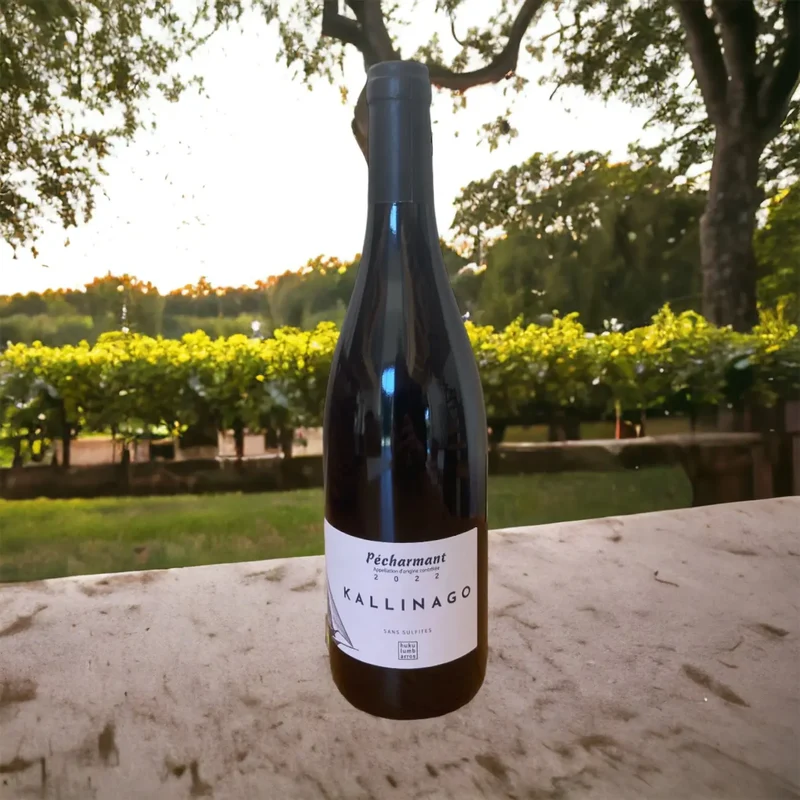 Kallinago - 2022