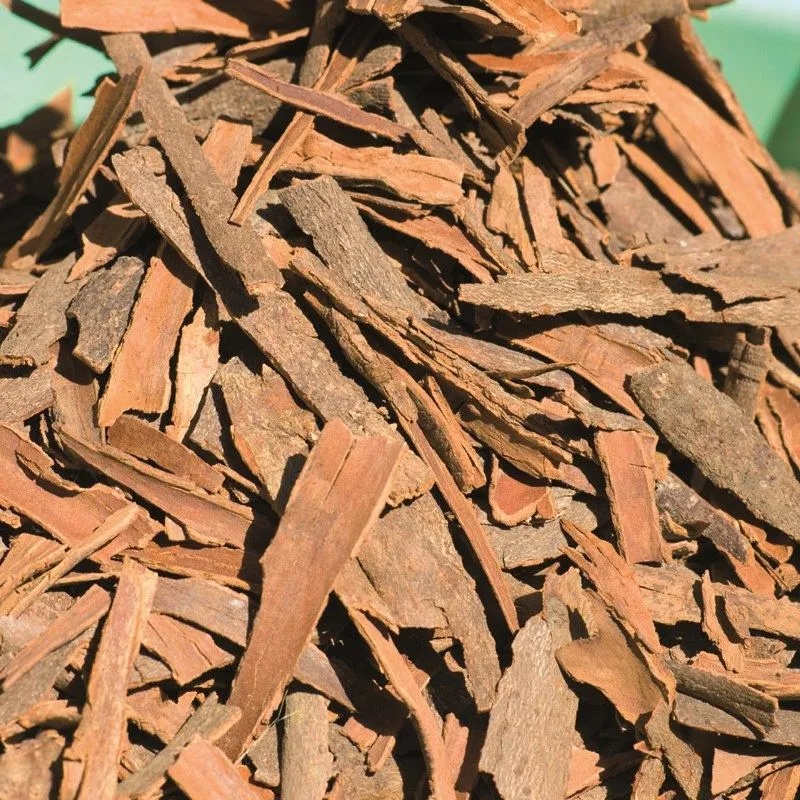 Cannelle en poudre de Ceylan - Terre Exotique 50 g