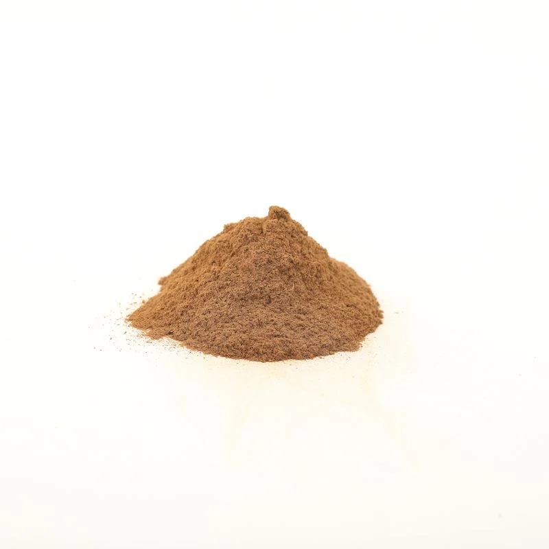 Cannelle en poudre de Ceylan - Terre Exotique 50 g