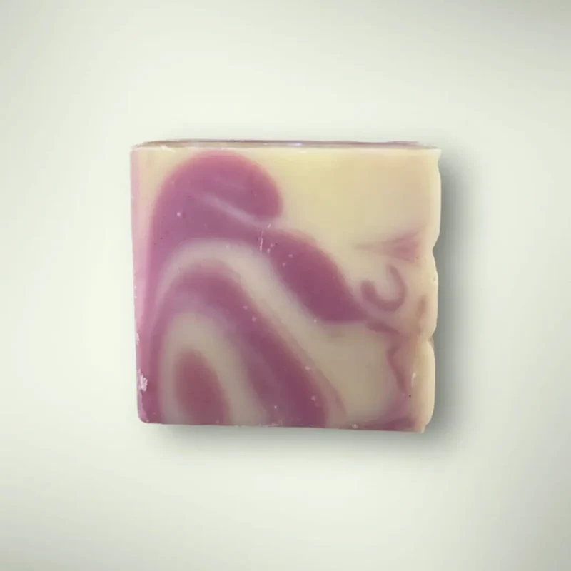 Savon Prune & Lavandin 100gr