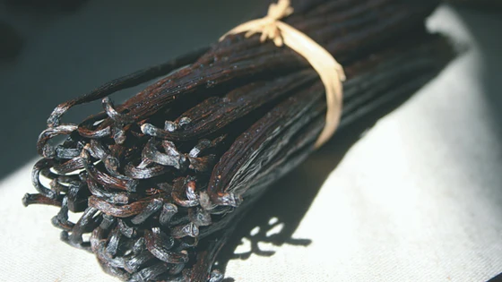 Gousses de Vanille Bourbon de Madagascar - Terre exotique