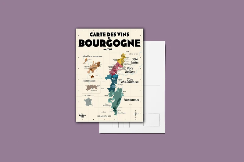 Pack complet 13 cartes postales - Les Vins de France 👉-25%