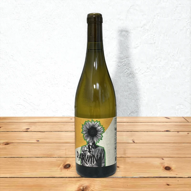 Darwin - Cabernet Blanc vignes résistantes VDF BIO