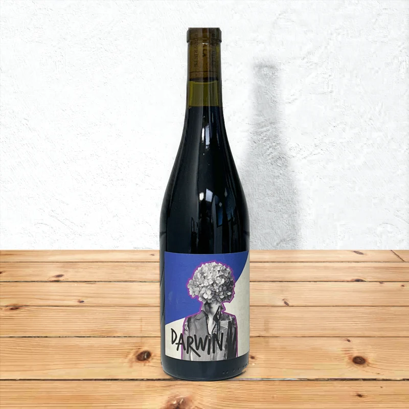 Darwin - Vidoc vignes résistantes VDF BIO