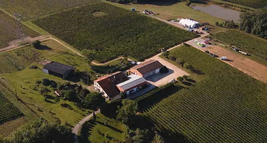 Le Rang Versant - vin de france Blanc BIO - Chateau Bouissel