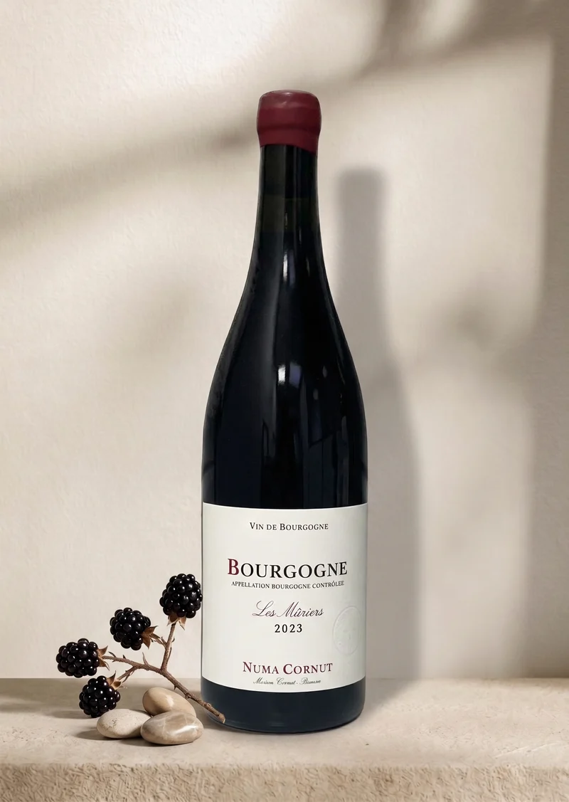 NUMA CORNUT BOURGOGNE Les muriers