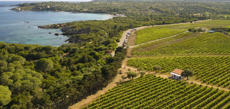 ITALIE - ARAGOSTA Vermentino Di Sardegna Doc - Santa Maria La Palma