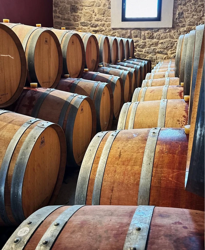 LANGUEDOC - Chateau Bouisset Bourboulenc