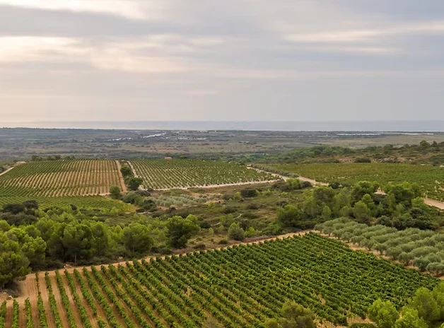 LANGUEDOC - Chateau Bouisset Les Bécassines AOC CLAPE