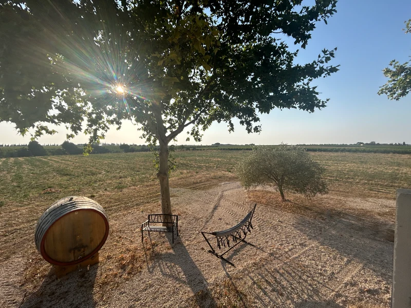 Chateau GUIOT - Plaisir coupable - vin rouge VDF