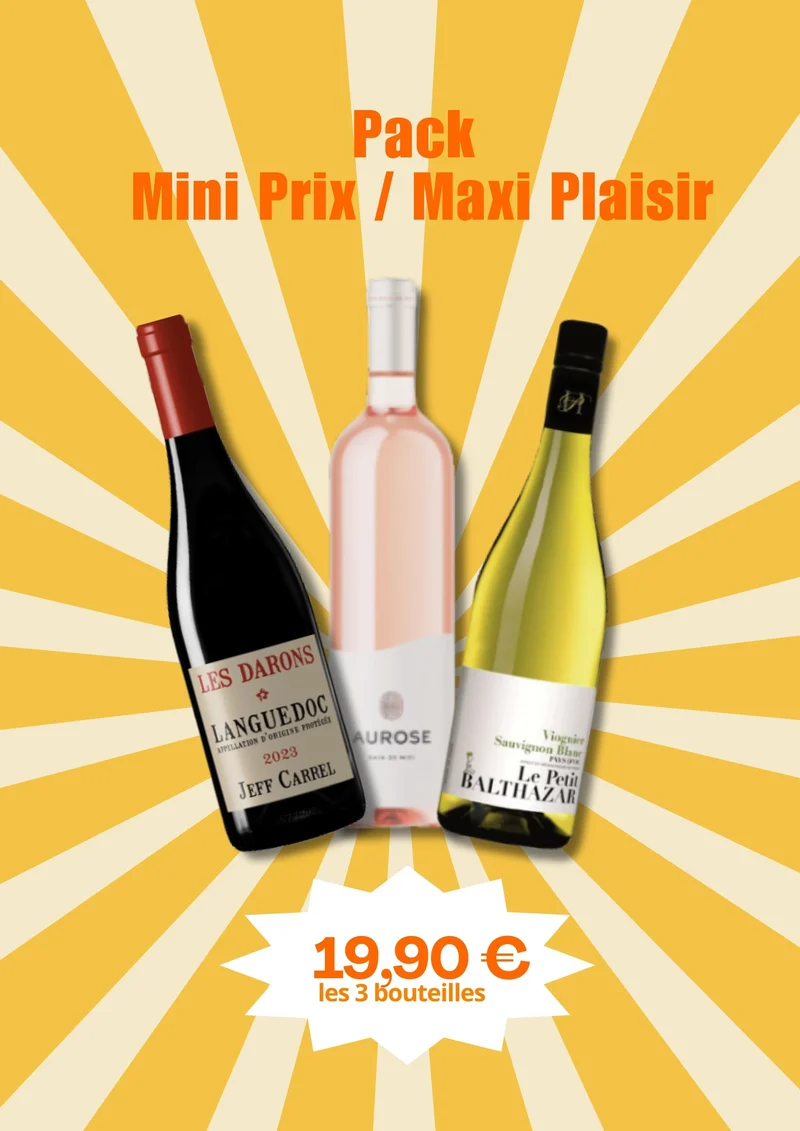 PACK 3 bouteilles - Mini Prix Maxi Plaisir