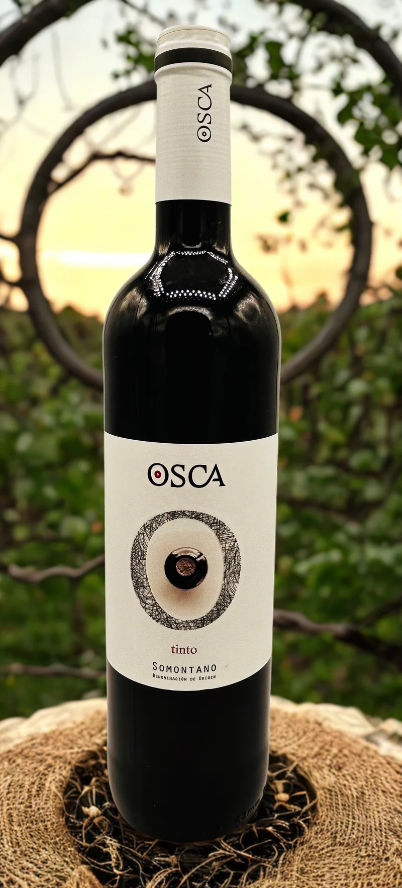 ESPAGNE - Somontano - Osca - Tinto Joven