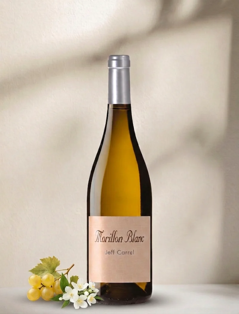 Jeff Carrel Morillon Blanc