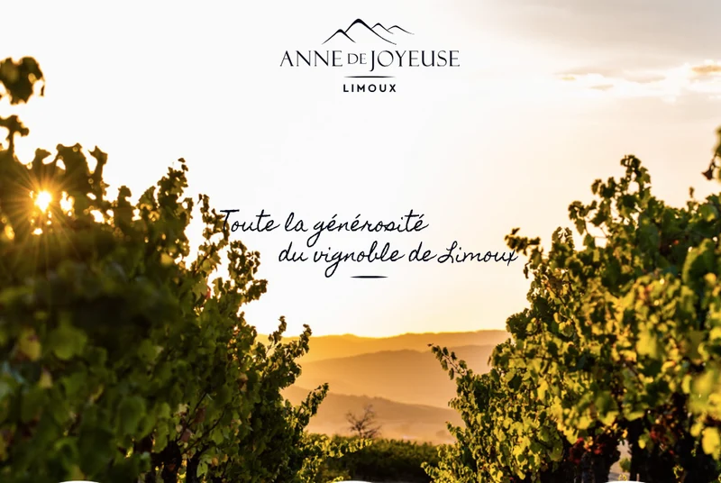 LANGUEDOC - Anne de Joyeuse Very Limoux blanc