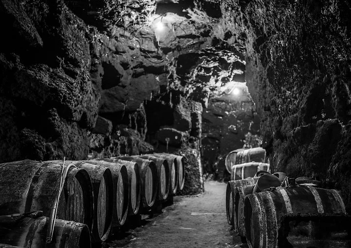 Cave Bruneau Dupuy - Blanc 2 Noir - Pétillant Naturel