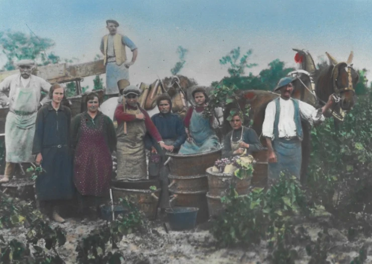 CORBIERES - Domaine de Sainte Marie des Crozes Les Pipelettes