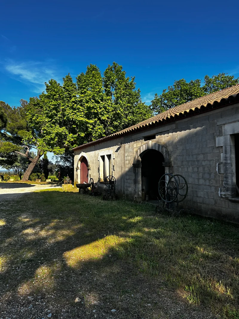 Chateau GUIOT - Nîmois ni toi blanc de Numa Cornut