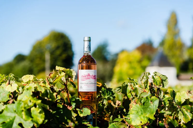 CHÂTEAU D'HAURETS ROSE - AOC BORDEAUX - 2025 - 6 bouteilles x 8,50€