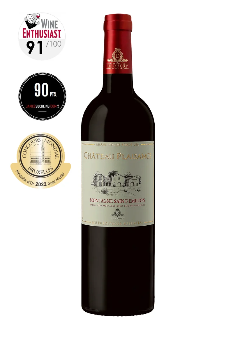 CHÂTEAU PLAISANCE ROUGE - AOC MONTAGNE SAINT EMILION - 2019 - 6 bouteilles x 15€