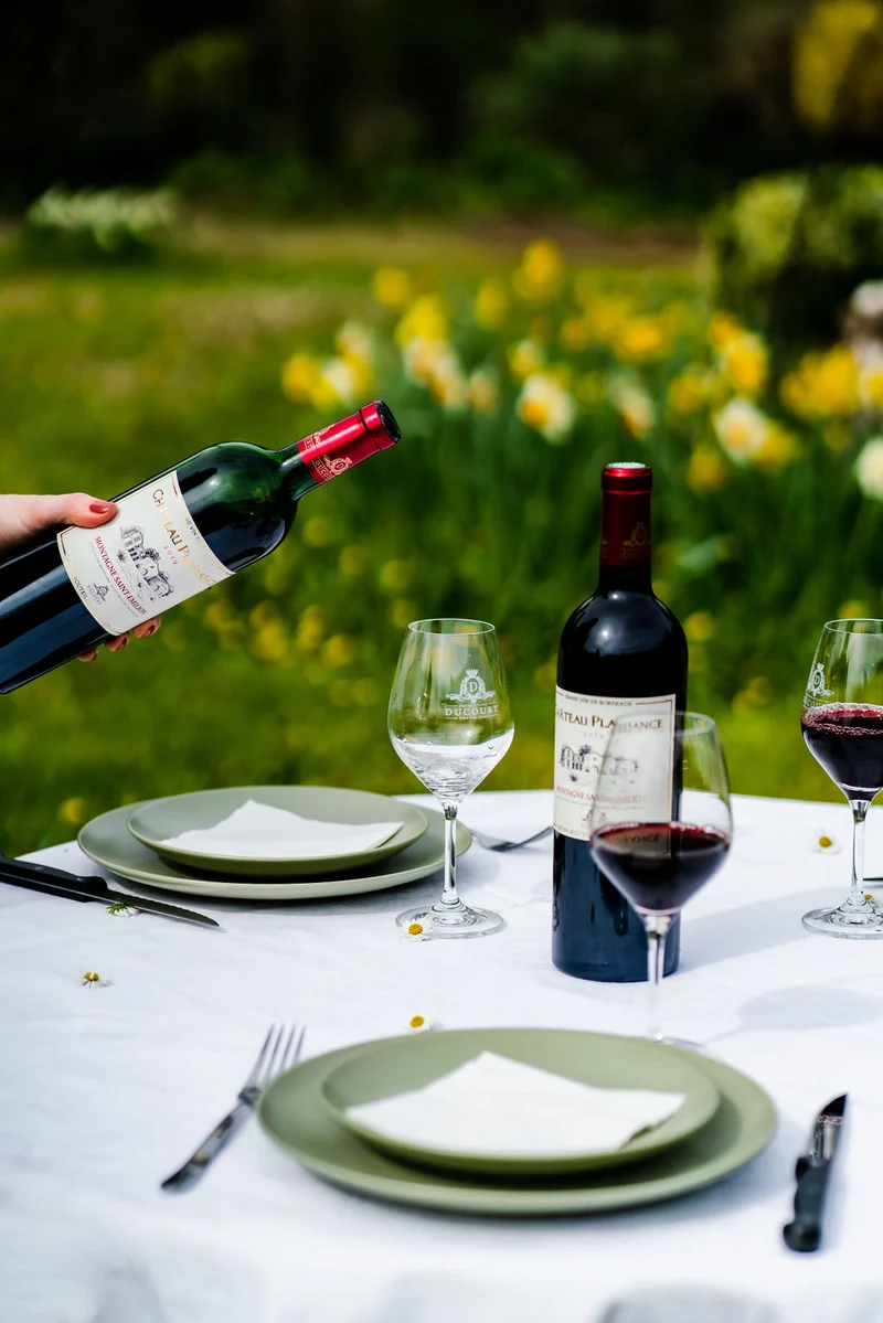 CHÂTEAU PLAISANCE ROUGE - AOC MONTAGNE SAINT EMILION - 2019 - 6 bouteilles x 15€