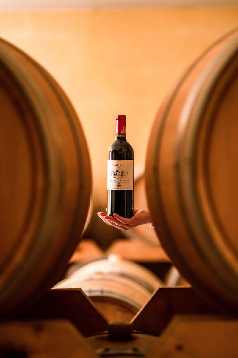 CHÂTEAU PLAISANCE ROUGE - AOC MONTAGNE SAINT EMILION - 2019 - 6 bouteilles x 15€