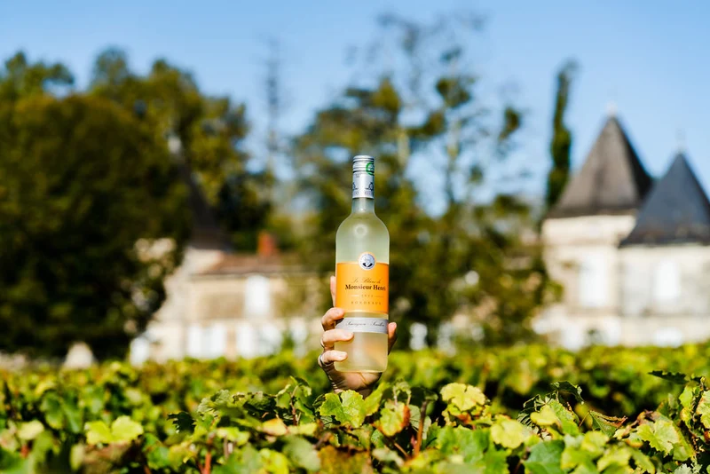 MONSIEUR HENRI BLANC - AOC BORDEAUX - 2025 - 6 bouteilles x 9€