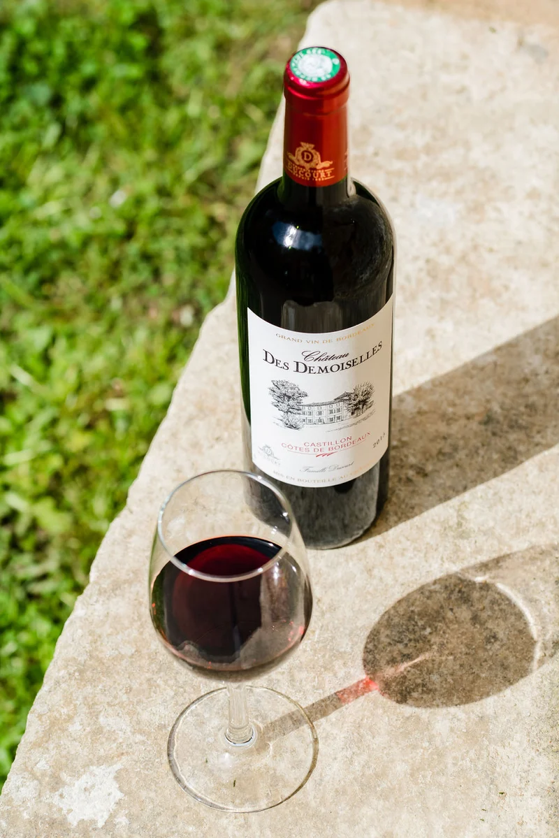 CHÂTEAU DES DEMOISELLES ROUGE - AOC CASTILLON COTES DE BORDEAUX - 2018 - 6 bouteilles x 11€