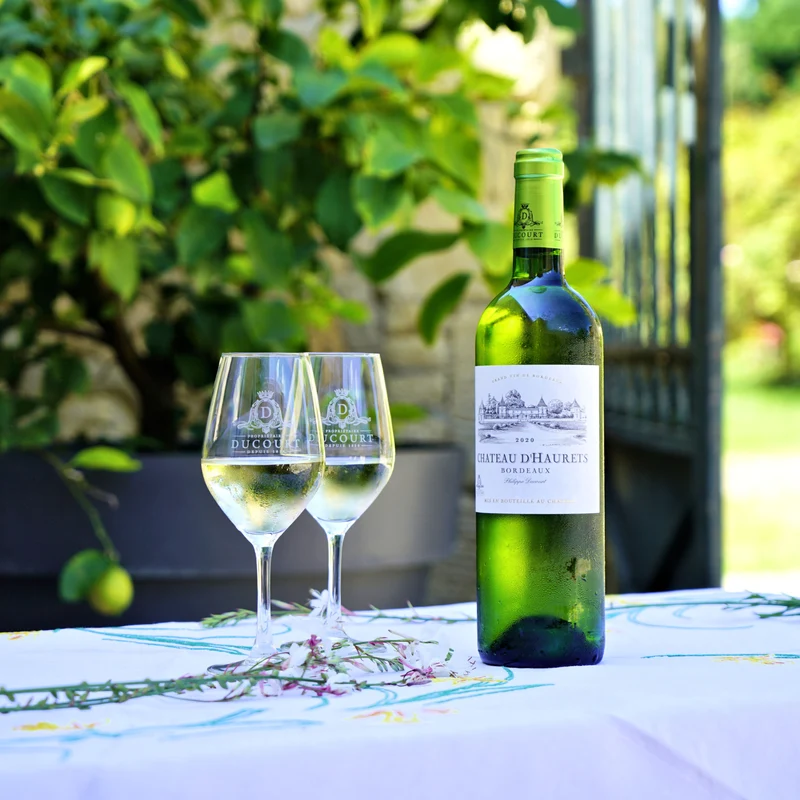 CHÂTEAU D'HAURETS BLANC - AOC BORDEAUX - 2025 - 6 bouteilles x 8,50€