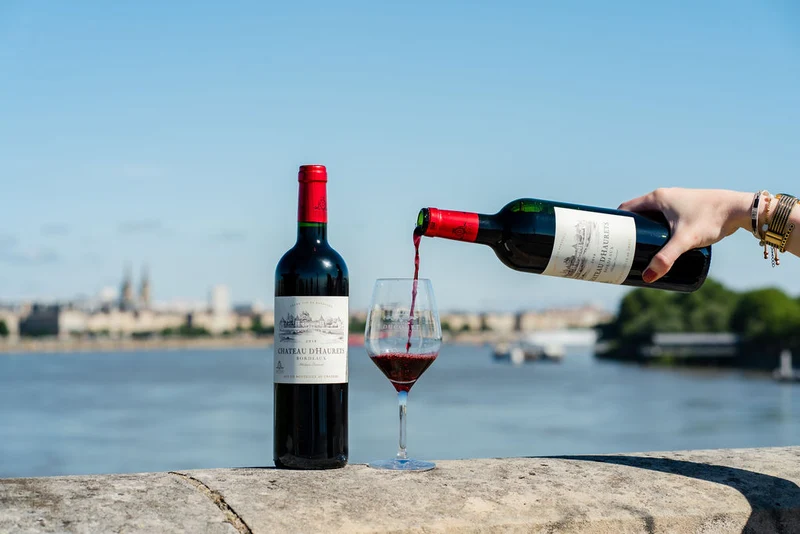 CHÂTEAU D'HAURETS ROUGE - AOC BORDEAUX - 2020 - 6 bouteilles x 8,50€