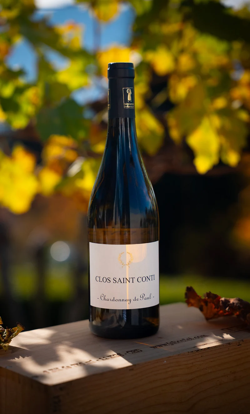 Chardonnay de Paul