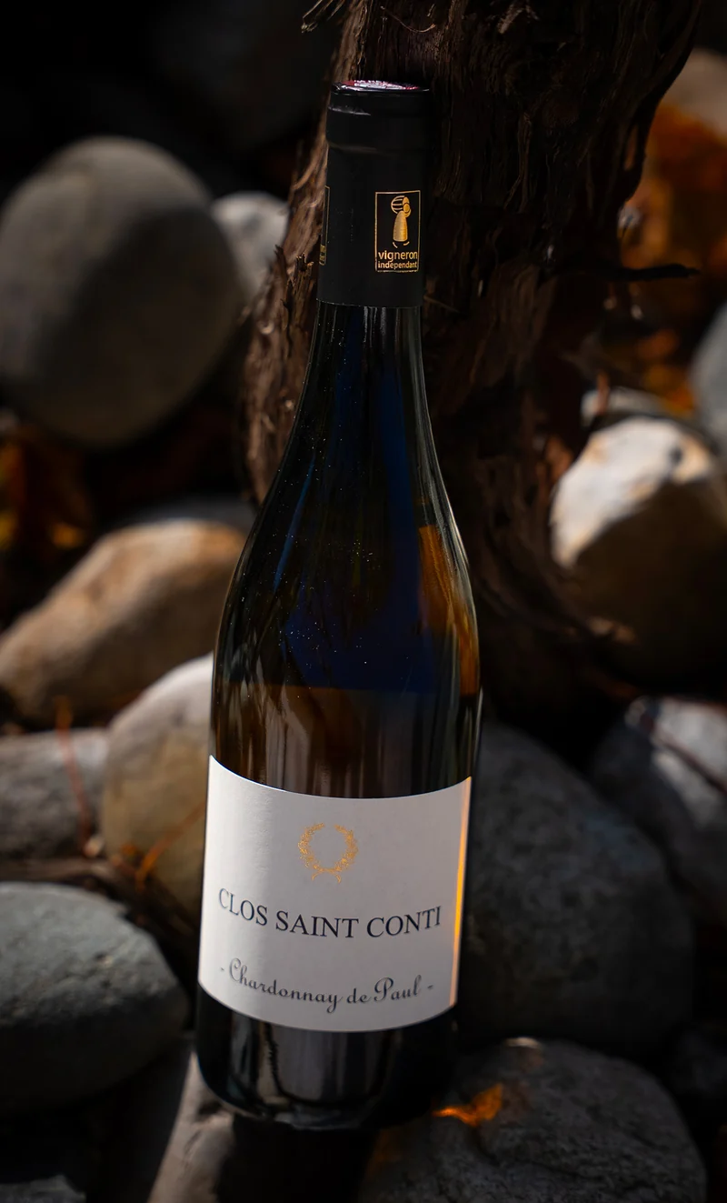 Chardonnay de Paul