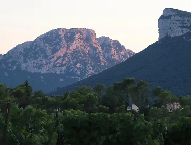 PIC SAINT LOUP - Château Boisset cuvée Ailes et Moi