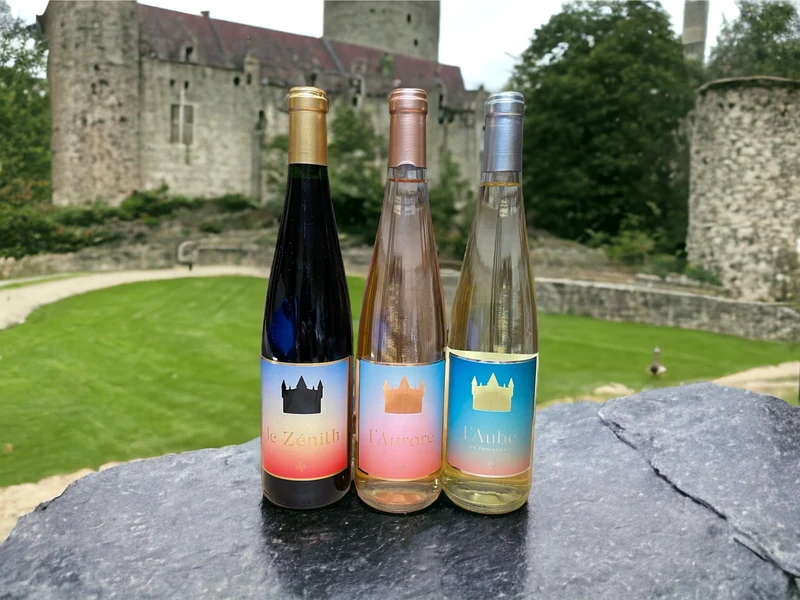 Chateau Panisseau - Découverte
