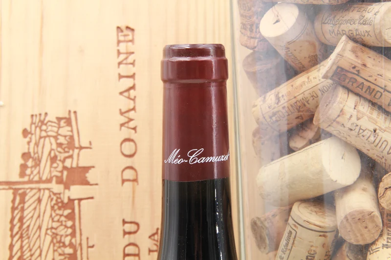 Bourgogne Cuvée Étienne Camuzet 2022. Domaine Méo Camuzet