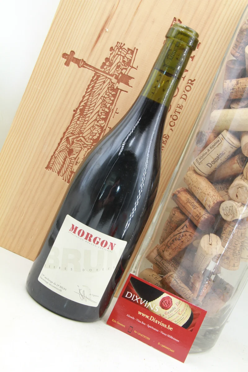 Morgon terres dorées Domaine Jean Paul Brun 2009