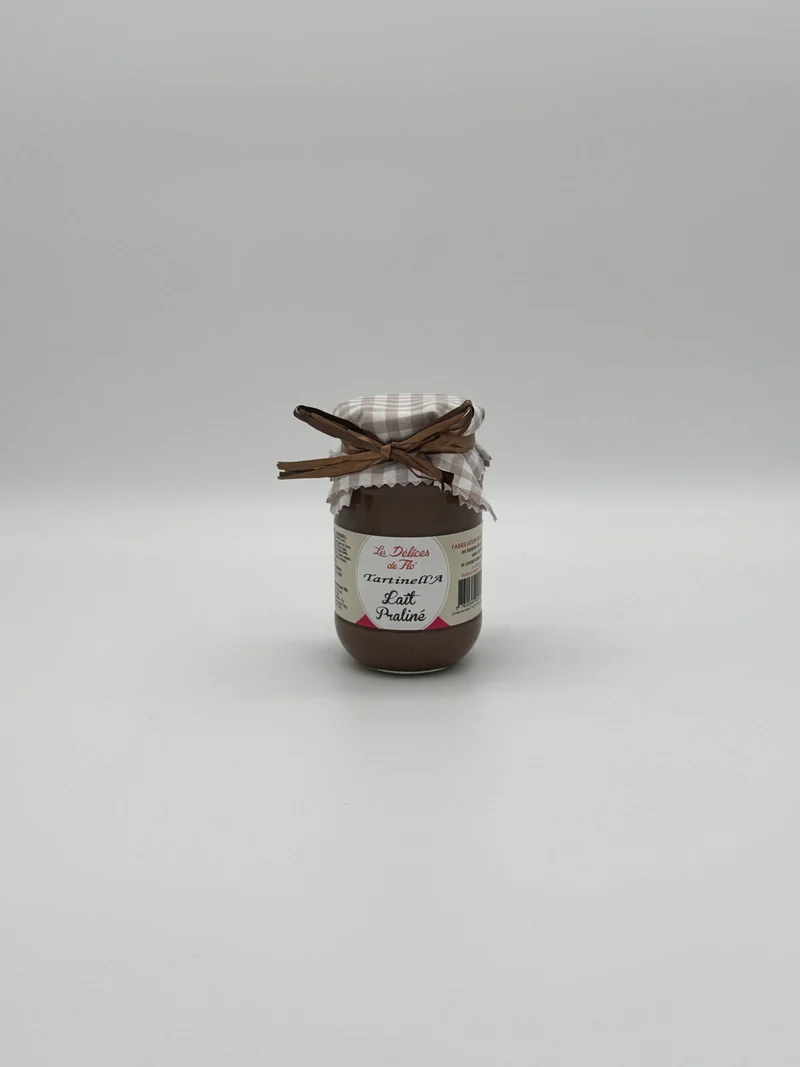 PATE A TARTINER LAIT PRALINE 280G