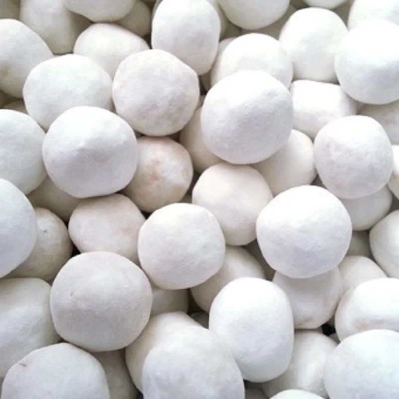 Caraneige