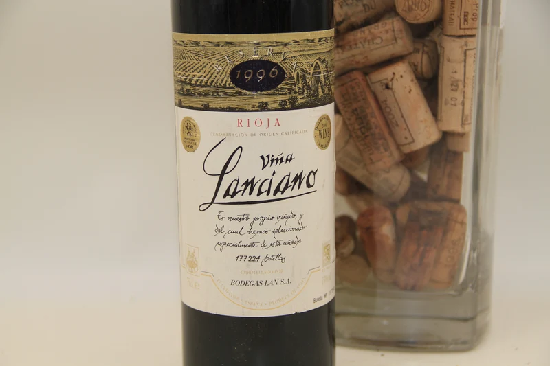 Vina Lanciano **1996** Rioja
