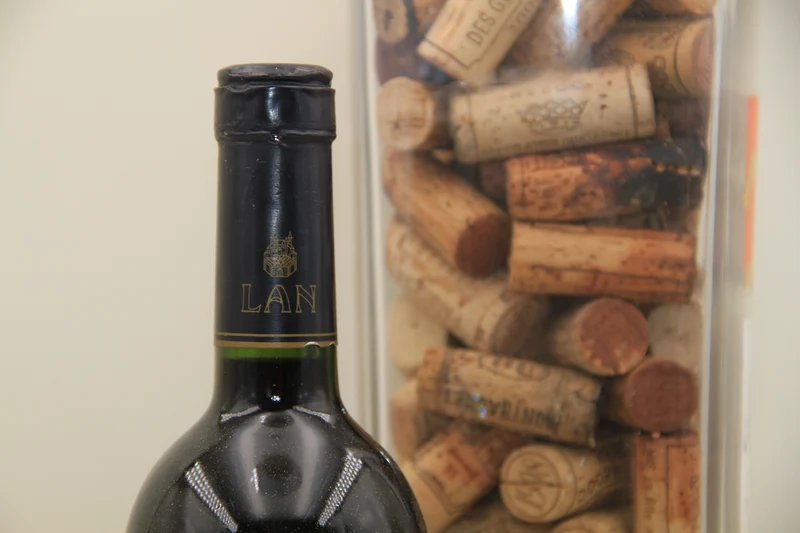 Vina Lanciano **1996** Rioja