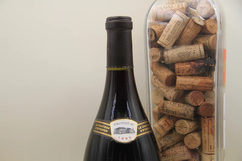 Bourgogne " Vigne de Champrenard "1995" Domaine Protheau Magnum 1,5L