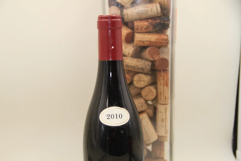 - Nuits Saint Georges **2010 ** Domaine Forey Père & Fils