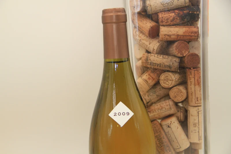 - Chablis 1er Cru Cote de Lechet ** 2009 ** Vincent Dampt