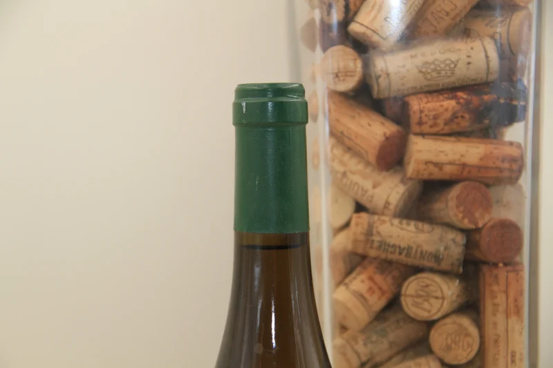 - Sancerre "Chéne Marchand " VV ** 1998 ** Domaine Reverdy