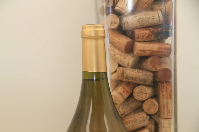 Cote de Jura Tradition** 2006 ** Domaine Grand