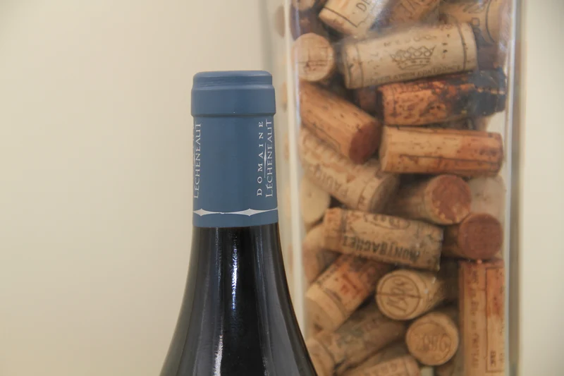 Nuits Saint Georges " Les Damodes " **2006 ** Domaine Lechenault