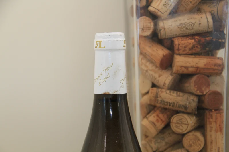 - Macon Village ** 2009 ** Clos De Condemine