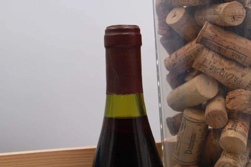 Gevrey-Chambertin – Domaine G. Vachet-Pousseau. 1993