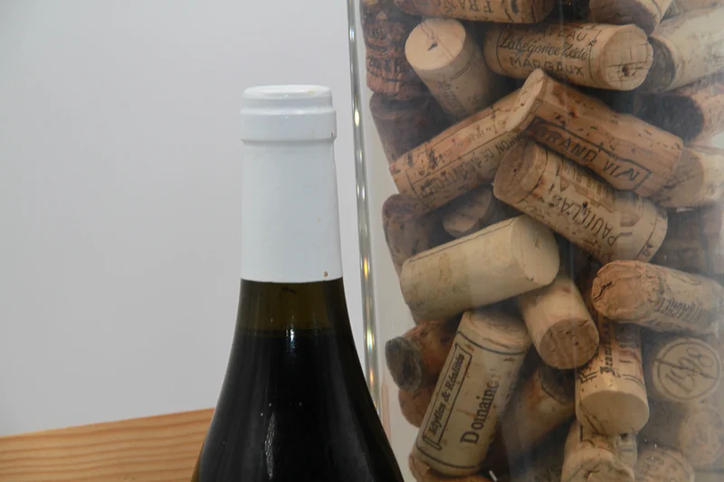 Marsannay " Les Echezeaux. Jean Fournier 1999