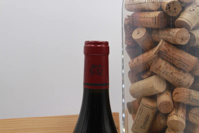 Gevrey-Chambertin "En Champs" – Maxime Cheurlin Noëllat. 2021