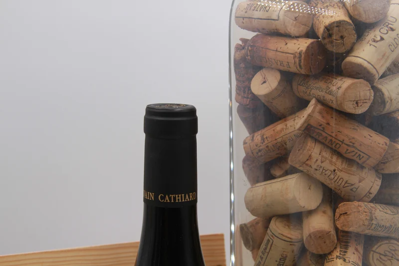 Bourgogne Hautes-Côtes de Nuits – Domaine Sylvain Cathiard & Fils. 2022